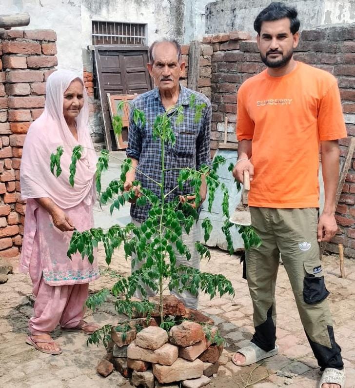 Vivek Hashir planted a shade tree.